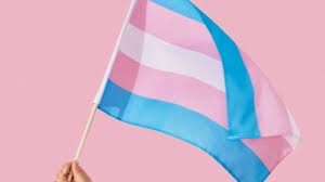 Bandeira Trans